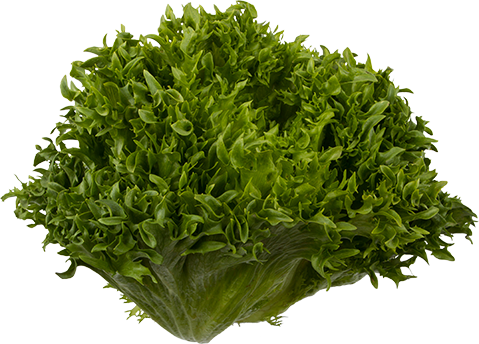 Frillice