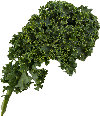 Green curly kale