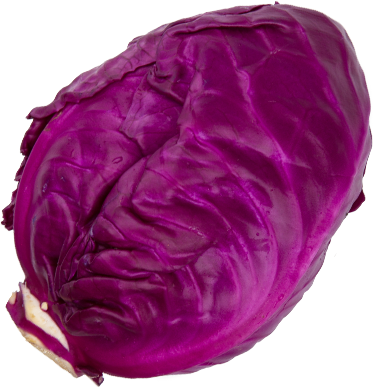 Roter Spitzkohl