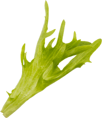 Tango Crisp, green