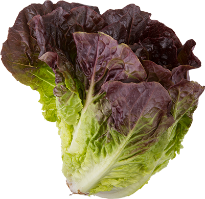 Roter Herzsalat